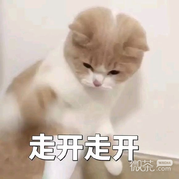 走开微信恶搞斗图表情包