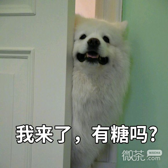 走开微信恶搞斗图表情包