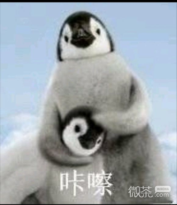 走开微信恶搞斗图表情包
