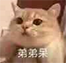 微信近期斗图恶搞表情包2019/11/5（二）
