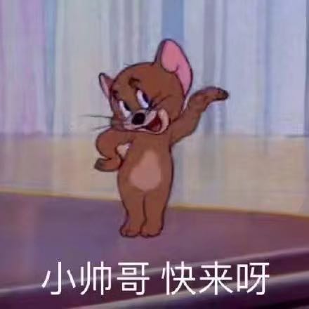 微信近期斗图恶搞表情包2019/11/5（二）