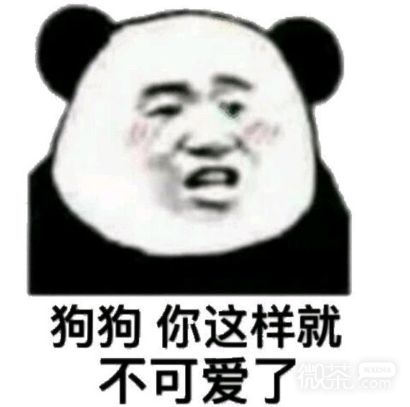 真好笑微信恶搞斗图表情包