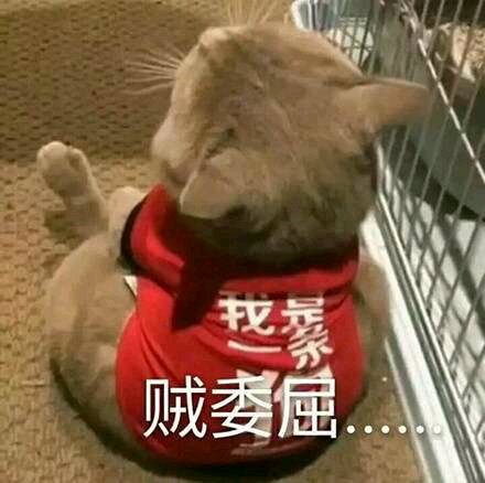 微信近期斗图恶搞表情包2019/11/6
