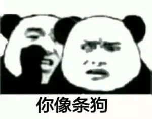 微信近期斗图恶搞表情包2019/11/6