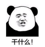 微信近期斗图恶搞表情包2019/11/6