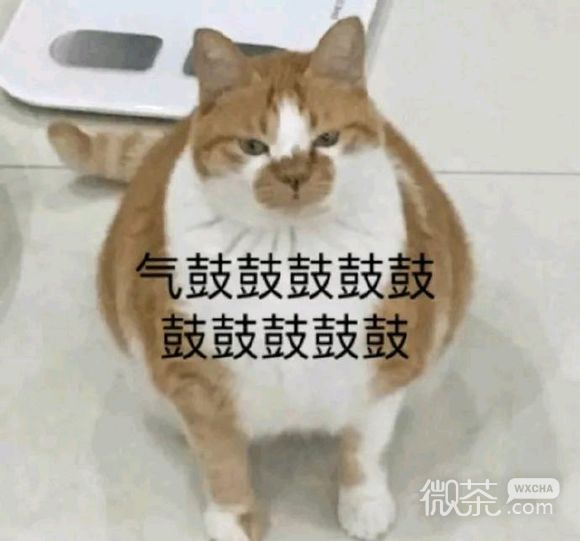 微信近期斗图恶搞表情包2019/11/6