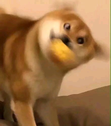 你什么意思恶搞斗图表情包