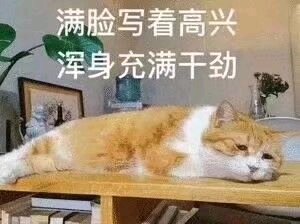 你什么意思恶搞斗图表情包