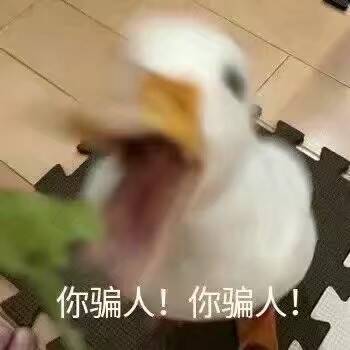 微信近期斗图恶搞表情包2019/11/7（二）