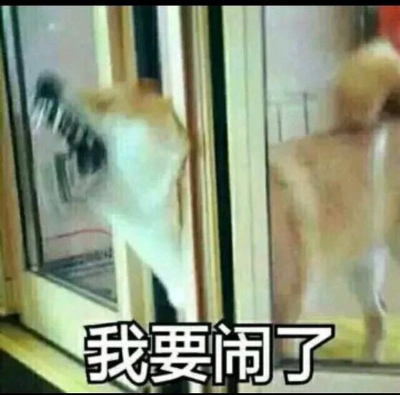 你什么意思恶搞斗图表情包