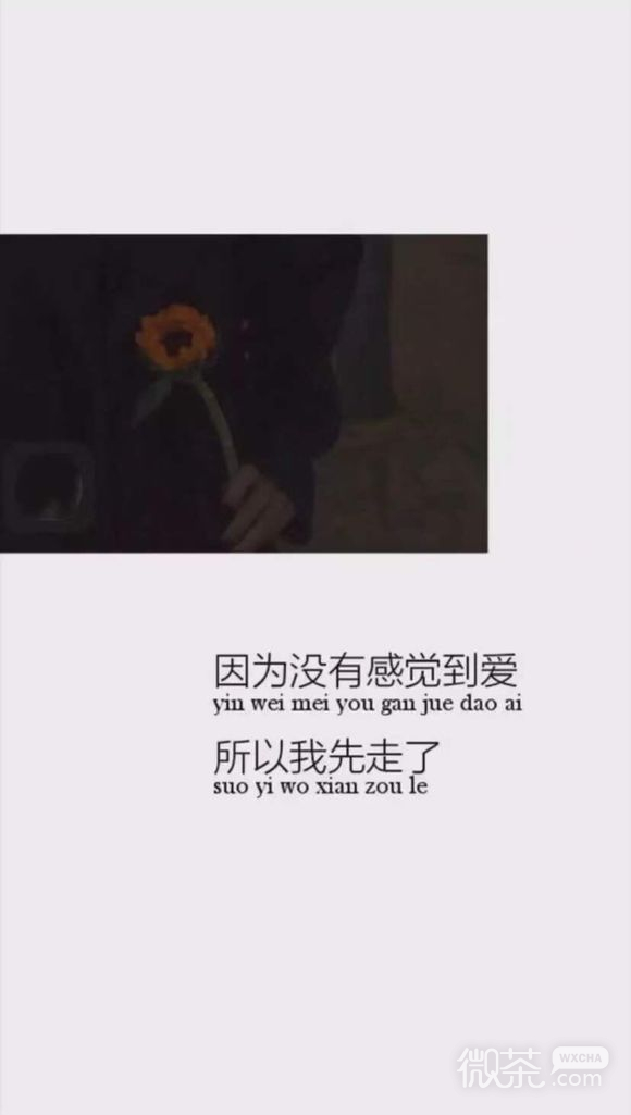 微信冷色系手机壁纸