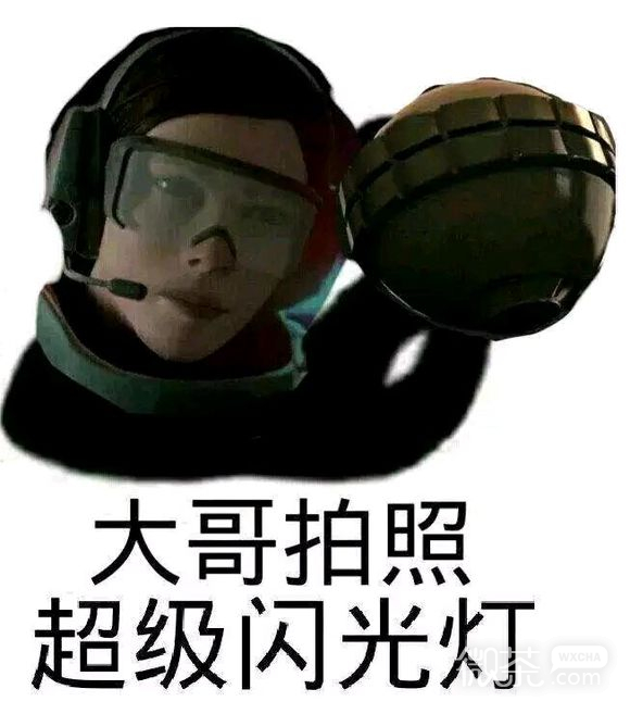 彩虹六号恶搞表情包