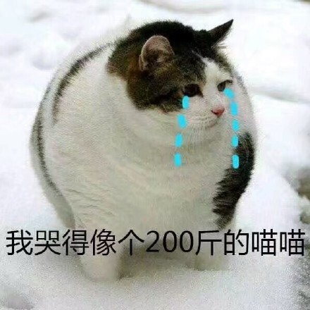 日了狗了微信恶搞斗图表情包