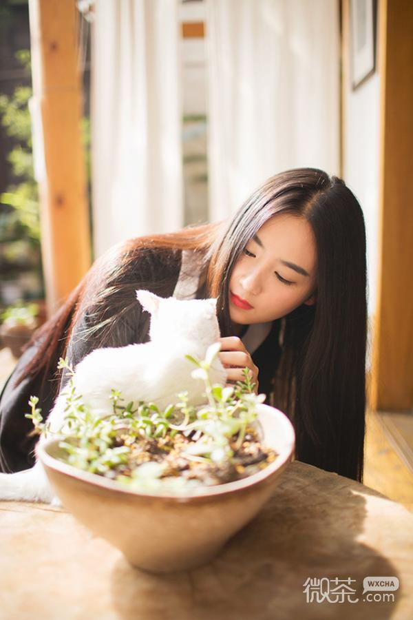 唯美好看小清新微信女生图片