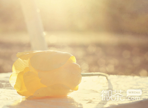 治愈伤感风格的微信图片