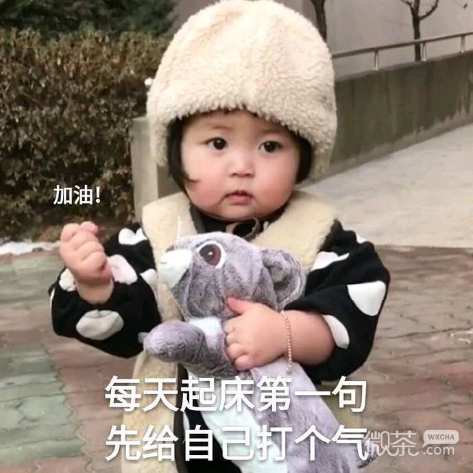 早安专用的微信群聊表情包
