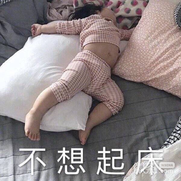 早安专用的微信群聊表情包