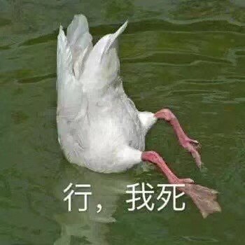 搞笑沙雕的微信斗图表情包合集