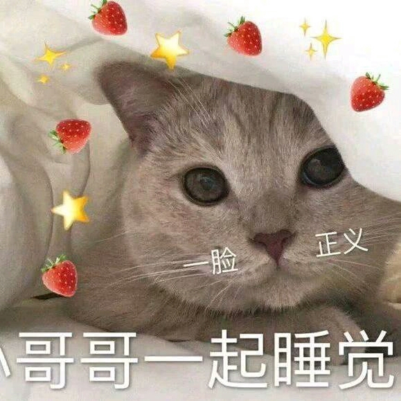 辣鸡微信恶搞斗图表情包