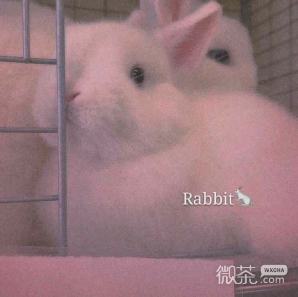 清新风景朋友圈配图
