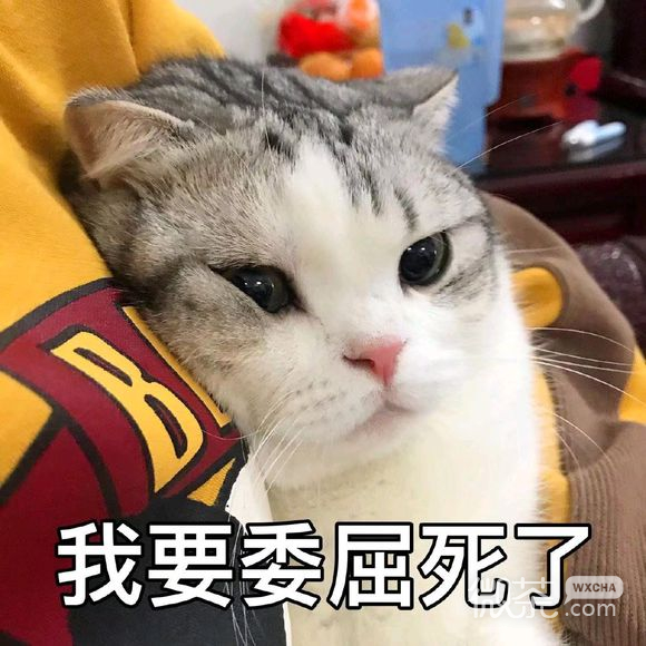抱我微信恶搞斗图表情包