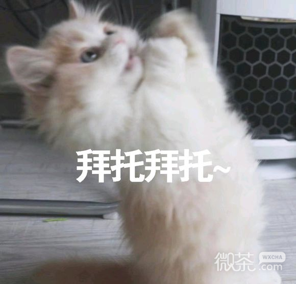 抱我微信恶搞斗图表情包