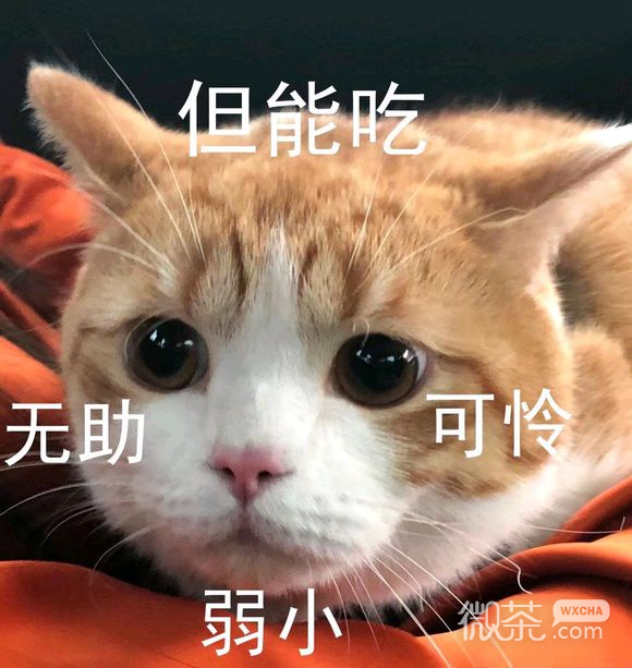 抱我微信恶搞斗图表情包