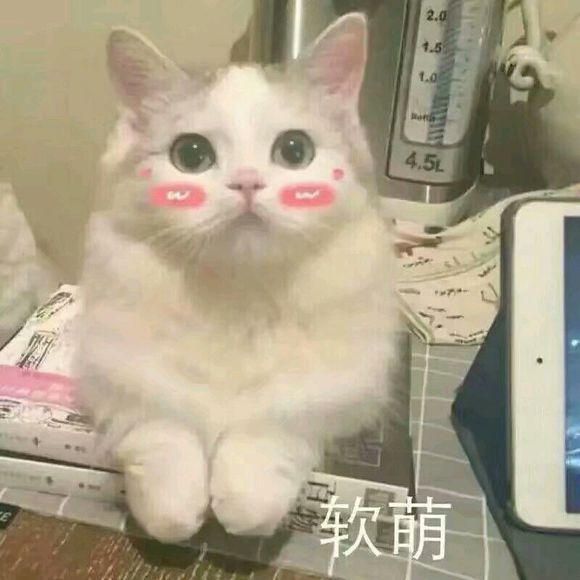 辣鸡微信恶搞斗图表情包