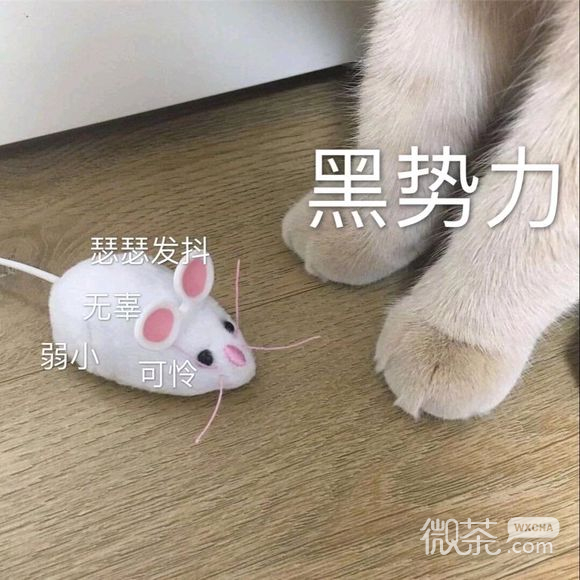 抱我微信恶搞斗图表情包