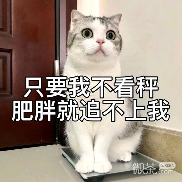 抱我微信恶搞斗图表情包