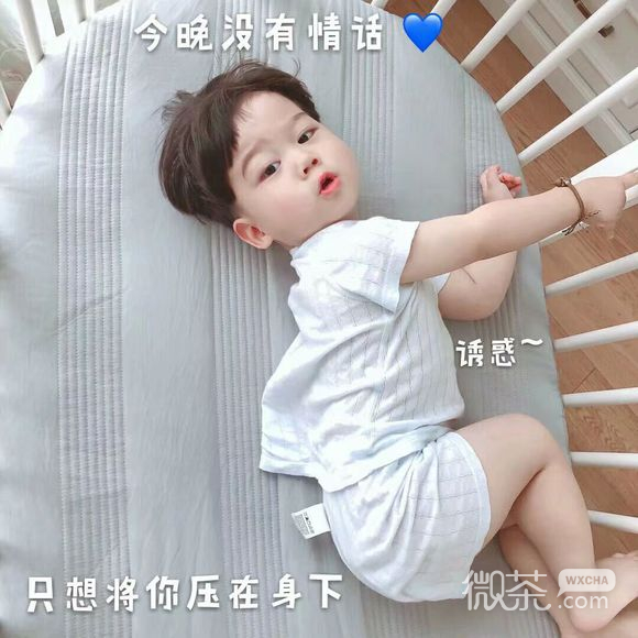 抱我微信恶搞斗图表情包