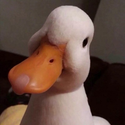 沙雕又逗比的微信搞笑头像合集