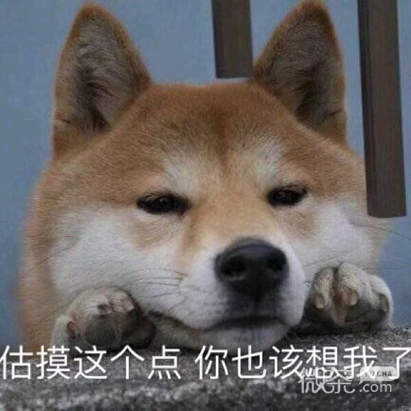 抱我微信恶搞斗图表情包