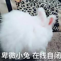 辣鸡微信恶搞斗图表情包
