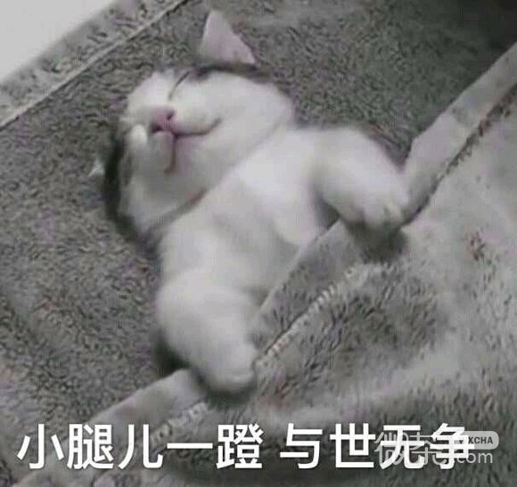 辣鸡微信恶搞斗图表情包
