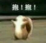 干什么微信恶搞斗图表情包
