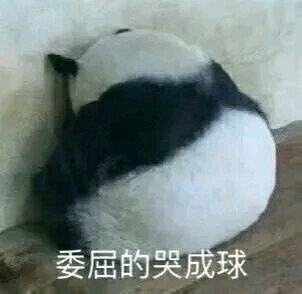 干什么微信恶搞斗图表情包