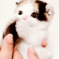 无情嘲笑微信恶搞斗图表情包