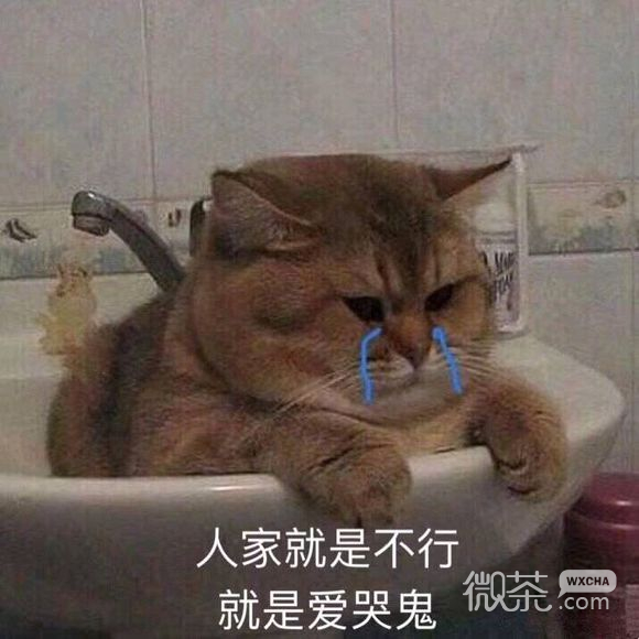 姐妹出门微信恶搞斗图表情包