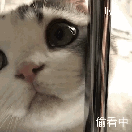 微信近期斗图恶搞表情包2019/11/17（二）