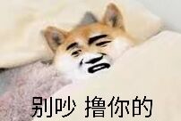 键仙微信恶搞斗图表情包