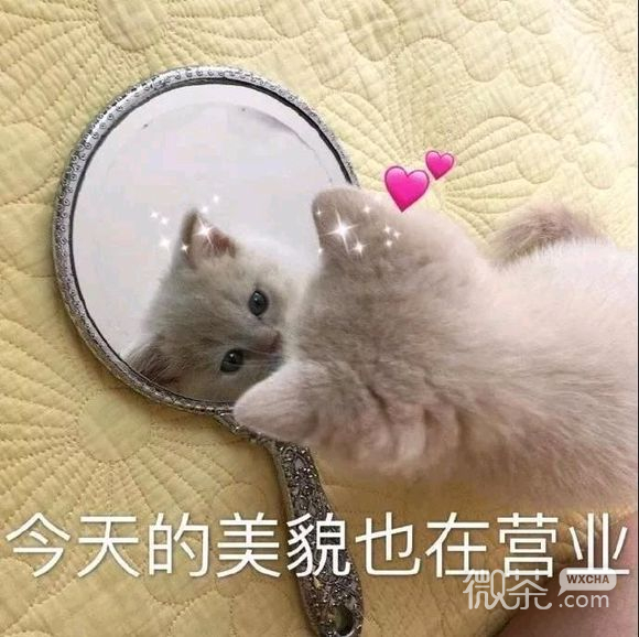 姐妹出门微信恶搞斗图表情包