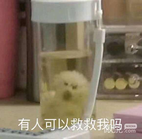 姐妹出门微信恶搞斗图表情包