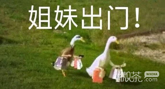 姐妹出门微信恶搞斗图表情包
