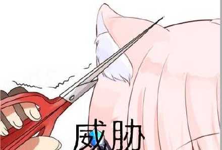 键仙微信恶搞斗图表情包