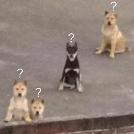 姐妹出门微信恶搞斗图表情包