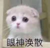 姐妹出门微信恶搞斗图表情包