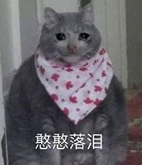 无情嘲笑微信恶搞斗图表情包