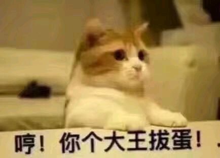 丢人微信恶搞斗图表情包