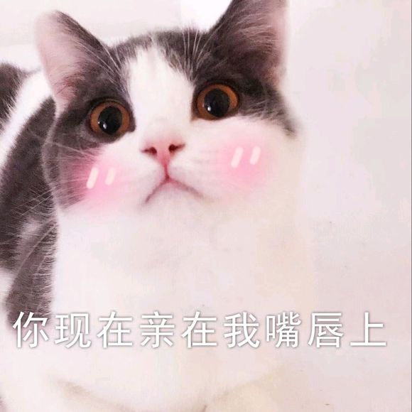 丢人微信恶搞斗图表情包